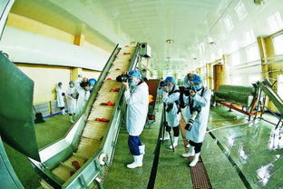 內蒙古 烏蘭浩特市 紅都網